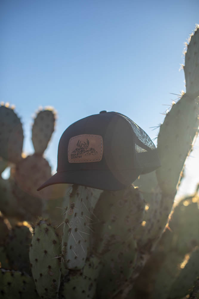 Black Whitetail Snapback