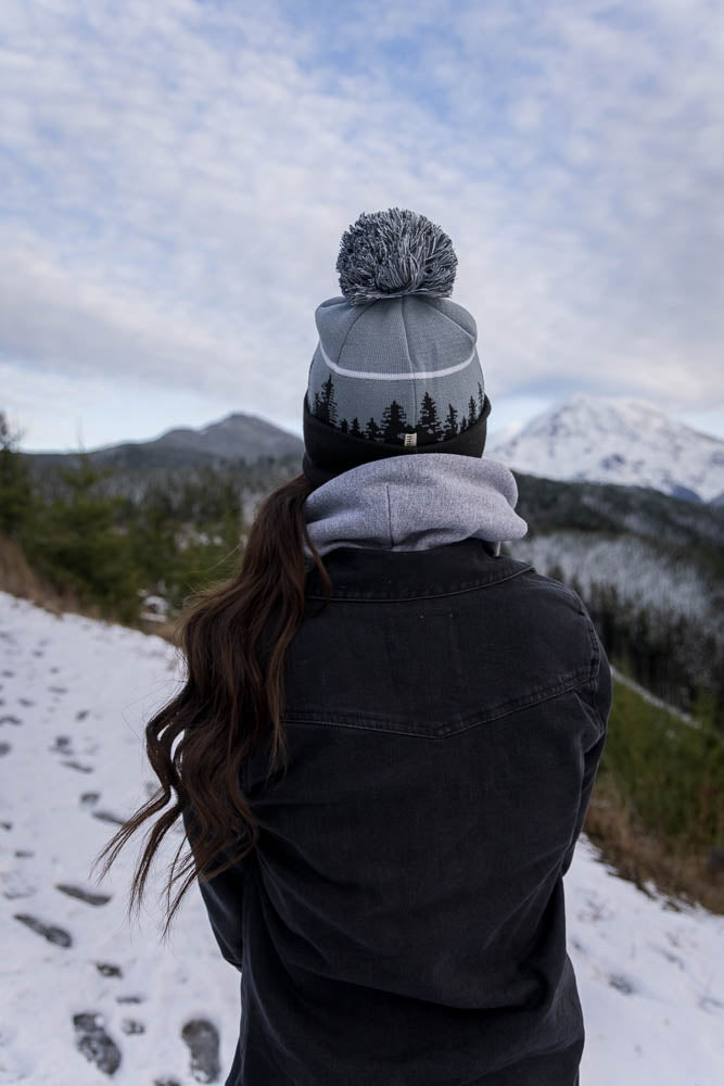 Lodgepole Beanie